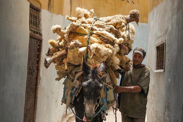 Your Own Morocco. Fez Private Tour: A City Beyond The Imagination 10