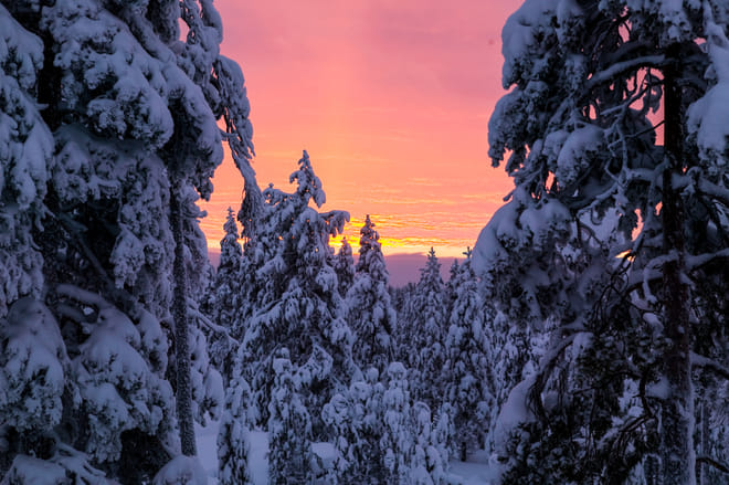 New Year Celebration by Finnish Traditions and Northern Lights - Rovaniemi photo 2