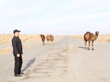 Ashgabat Full‑Day City Tour with Local Guide