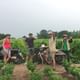 Best Hanoi Motorbike Tour: Local Guide, City Center & Countryside