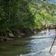 Phuket Eco Exploration Raft Ride & Discover Tour from Khao Lak