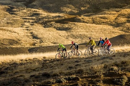 Patagonian Safari: Exploring Nature by Bike