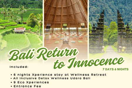 7 DAYS 6 NIGHTS BALI RETURN TO INNOCENCE