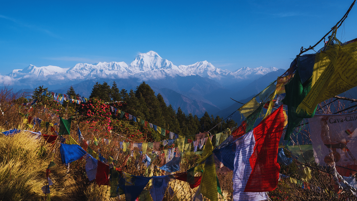 Annapurna Base Camp Trek from Kathmandu