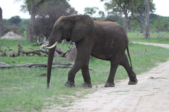 15 minutes scenic helicopter flight above Victoria Falls-Zimbabwe