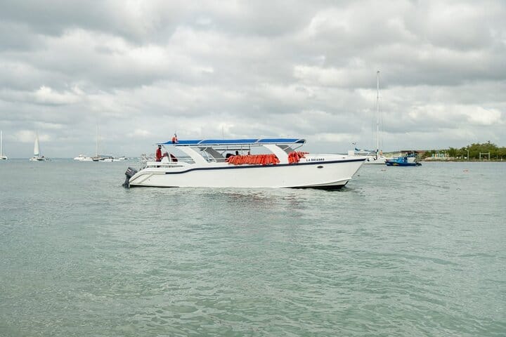 5 tours in 1 (Eco Farm/Horseback/City Tour/Buggy/Zipline)