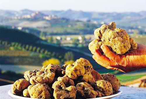 Private Hvar Island Tour by Boat – from Split