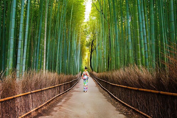 Arashiyama Walking Tour - Bamboo Forest, Monkey Park & Secrets