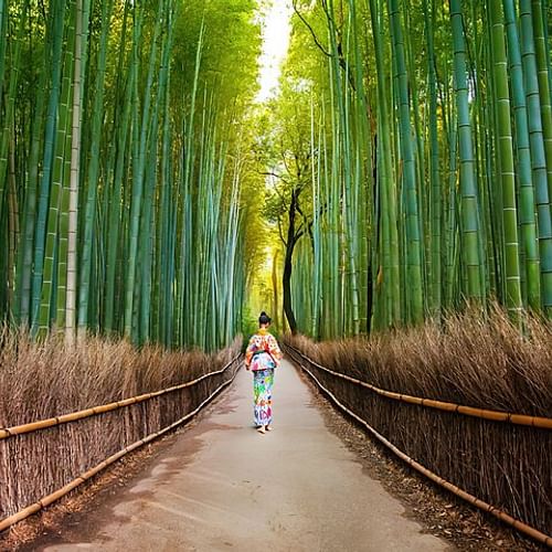 Arashiyama Walking Tour - Bamboo Forest, Monkey Park & Secrets