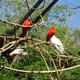 Bird Park