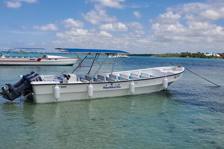 5 tours in 1 (Eco Farm/Horseback/City Tour/Buggy/Zipline)