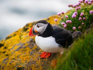 Complete Iceland Circle with Snæfellsnes - 9-Day Self-Drive, photo 11