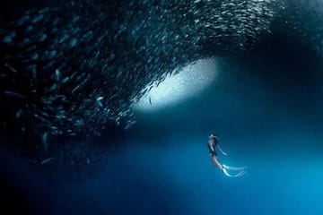 Moalboal Sardines Run and Kawasan Canyoneering Tour