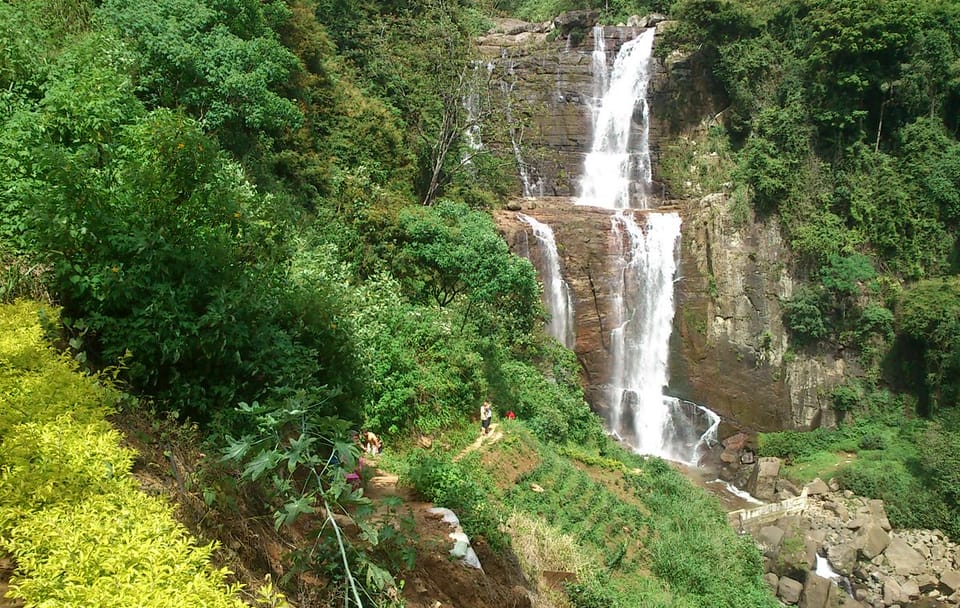 One Day Nature and Sightseeing Tour from Kandy to Nuwara Eliya