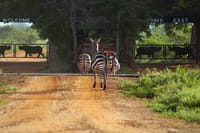 Entrance to Tsavo East