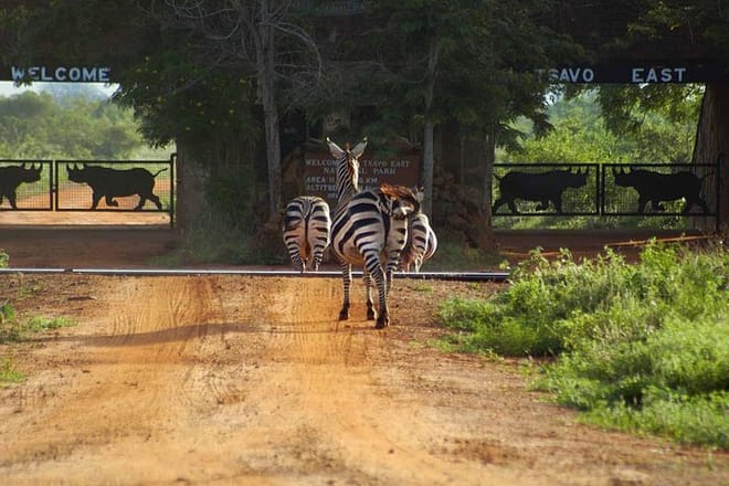 Entrance to Tsavo East