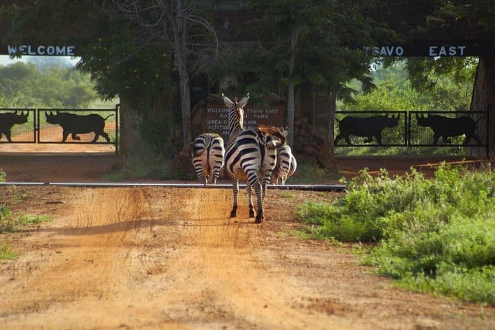 Entrance to Tsavo East