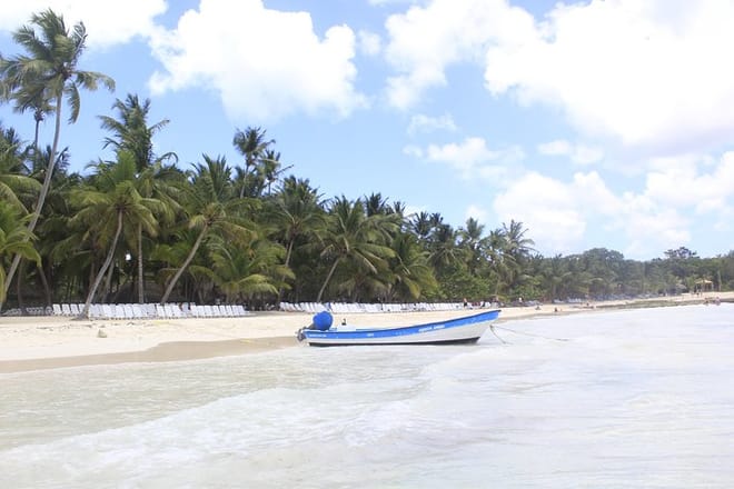 Excursión de un día a la Isla Saona desde Punta Cana con almuerzo 5