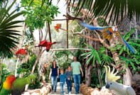 Skip the Line: Jungle Park Tenerife Entrance Ticket 8