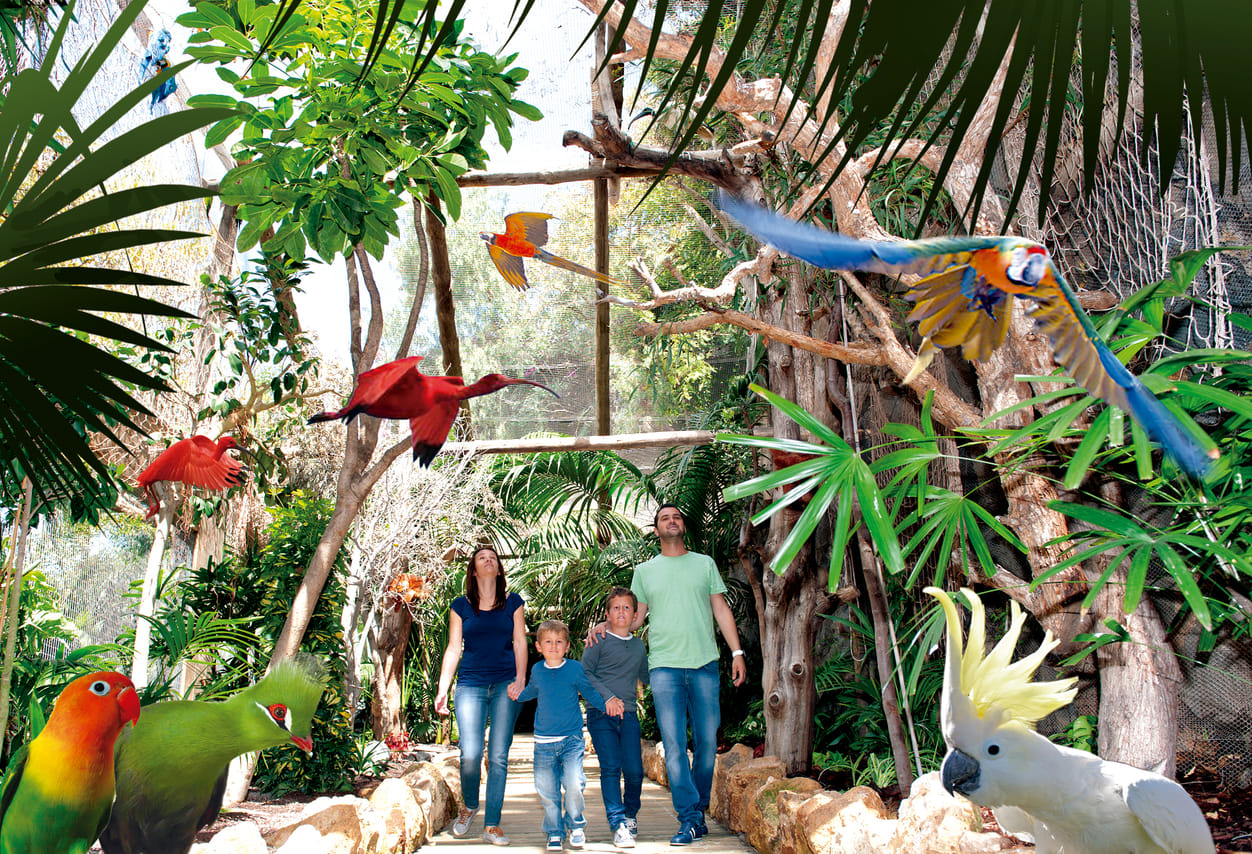 Skip the Line: Jungle Park Tenerife Entrance Ticket 8