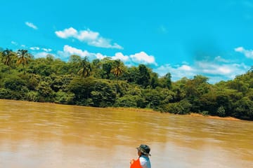 Full-Day Wildlife Safari in Cerros de Amotape National Park
