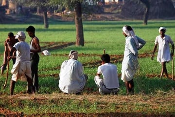 Kalakho Village Day Tour Including Rajasthani Traditional Lunch with Host Family
