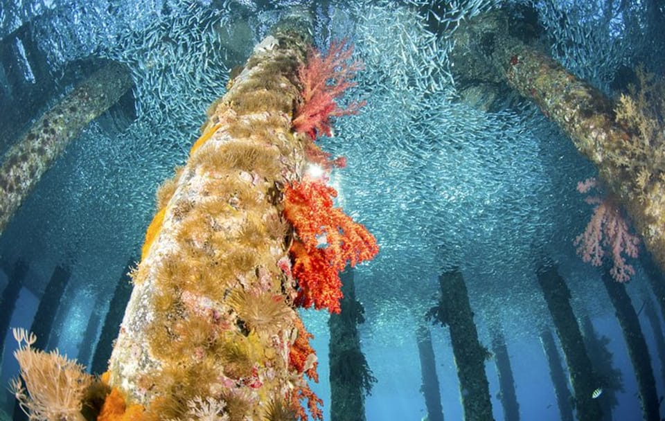 3-Night Private Jordan Lawrence of Arabia : Petra, Wadi Rum, from Aqaba / Araba