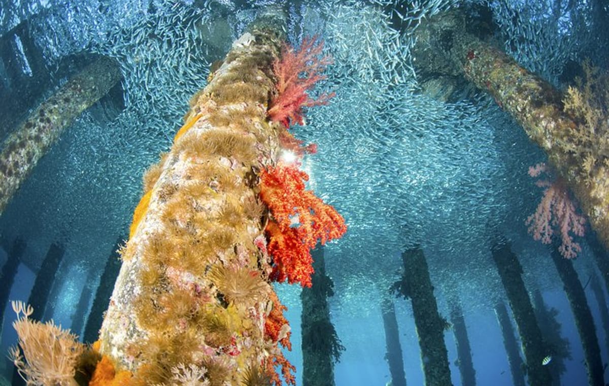 3-Night Private Jordan Lawrence of Arabia : Petra, Wadi Rum, from Aqaba / Araba