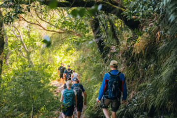 Hiking Tour of 25 Fontes and Risco Levada in Madeira
