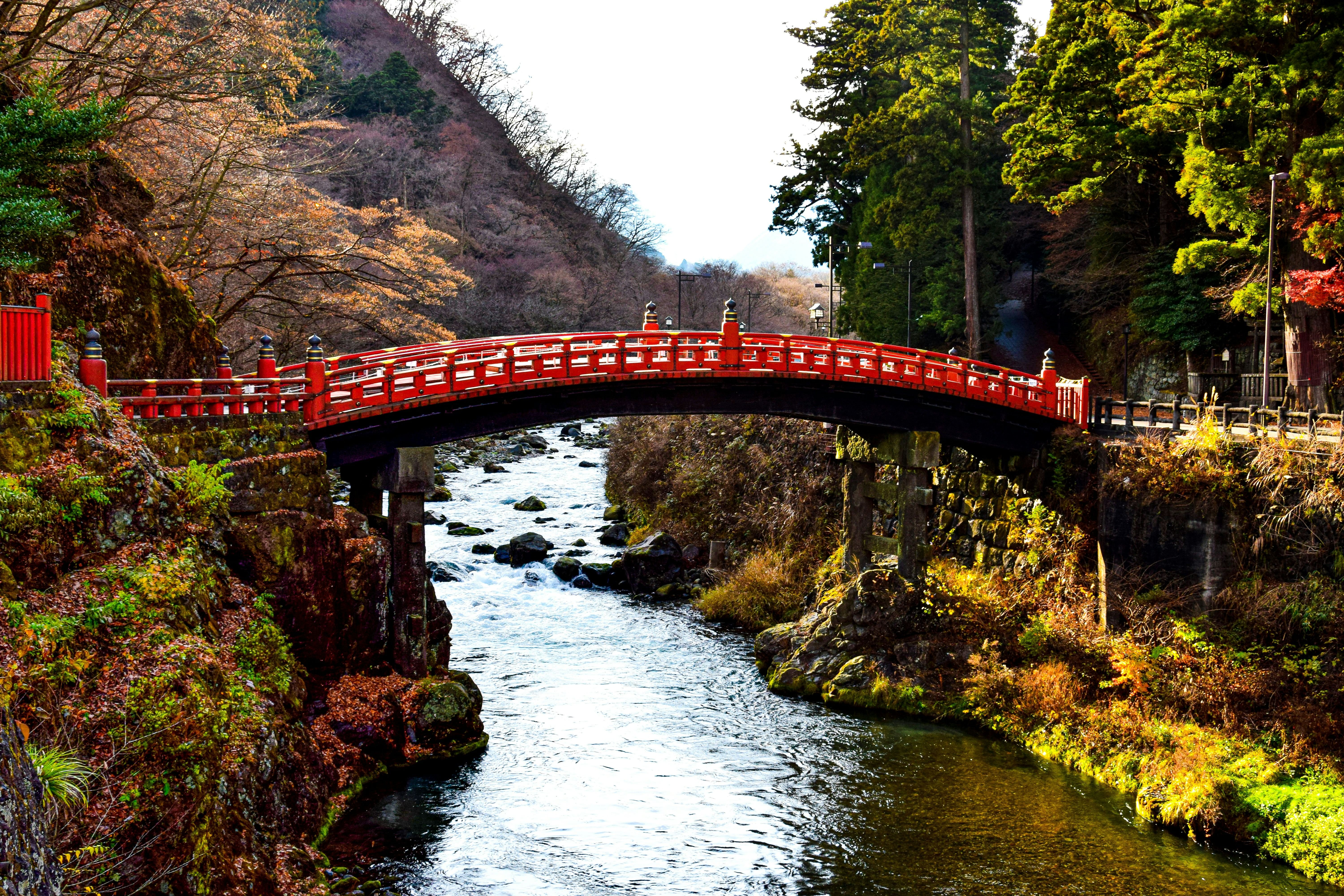 Nikko Private Trip