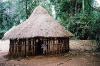 getting in a traditional hut