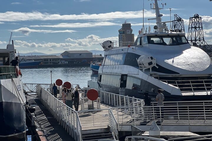 Robben Island Museum Ticket Ferry Half Day Tour
