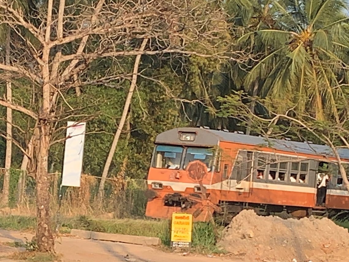 Maha Oya River Boat safari & Hamilton Canal in Negombo 6