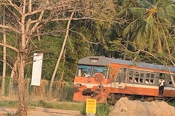 Maha Oya River Boat Safari and Hamilton Canal Tour in Negombo