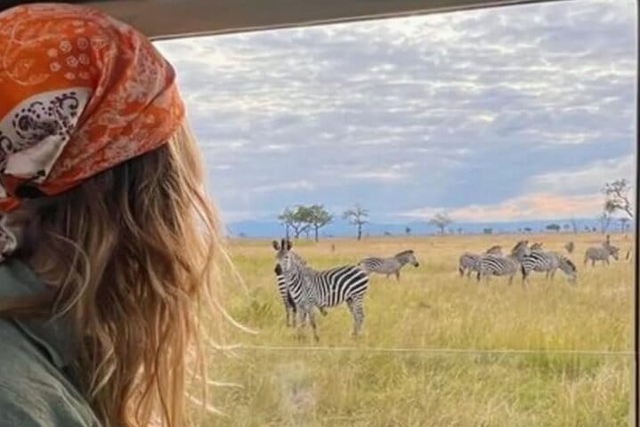 Jozani Forest Tour and Lunch at The Rock Restaurant