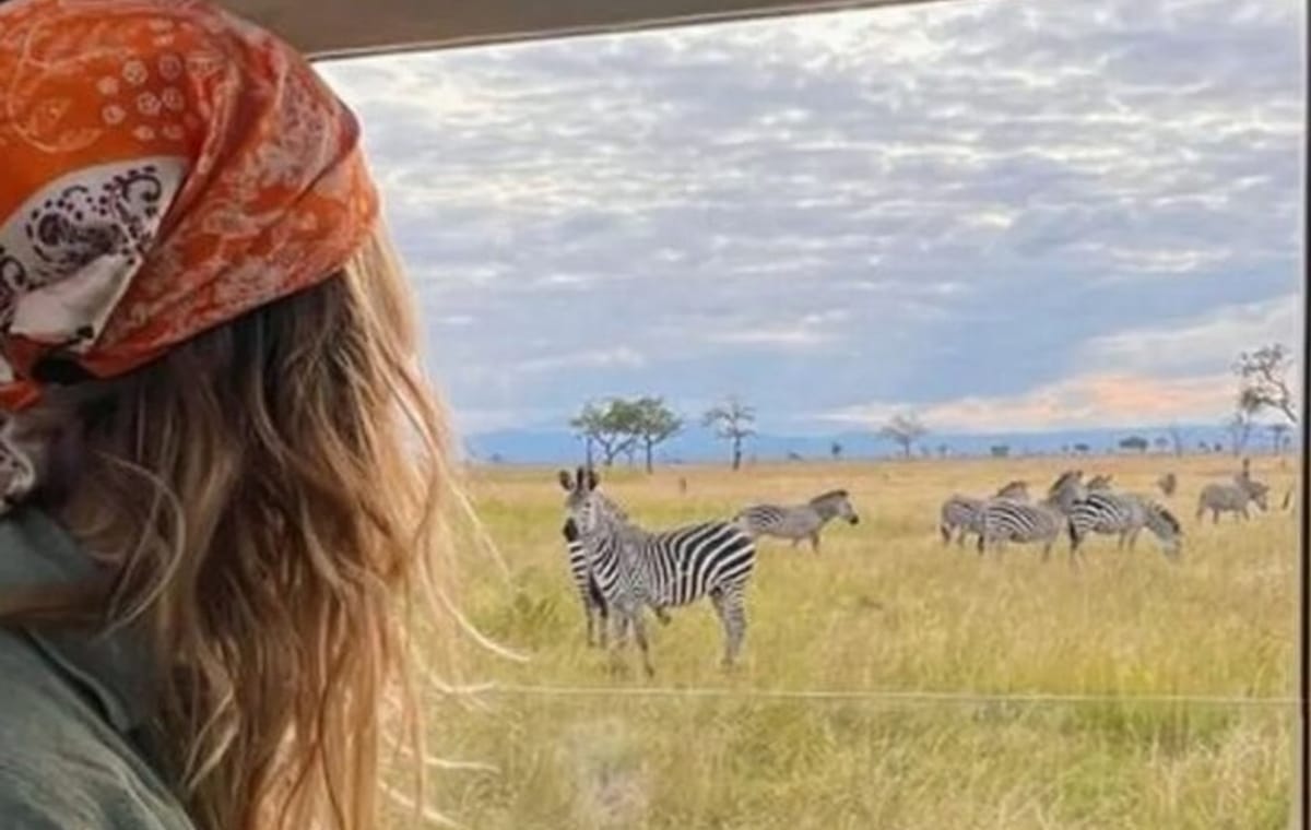 Mikumi National Park 2 Day Safari from Zanzibar or Dar es Salaam