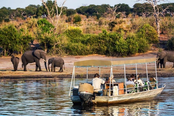 Chobe Full Day Trip (From Victoria Falls)