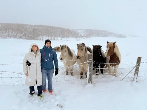 Private! Majestic Iceland: Goðafoss Waterfall, Holiday Magic and Horseback Bliss, photo 20