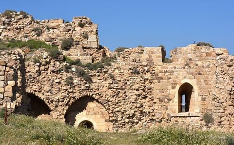 Private Day Trip to Karak Castle and Islamic Shrines from Amman
