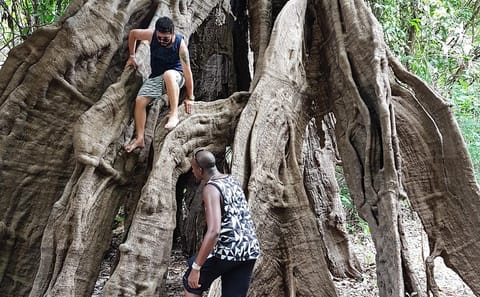 5-Day Amazon Jungle Adventure Tour in Iranduba and Manaus