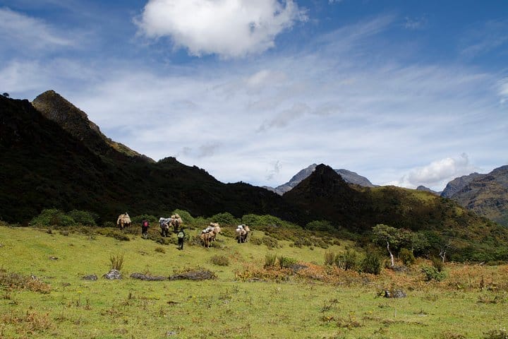 19 Days Mera Peak Climbing & Expedition – One Life-Changing Himalayan Adventure