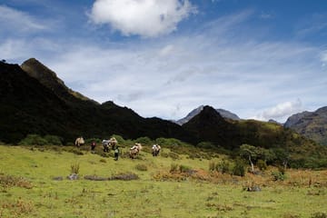 7 days Druk Path Camping Trek in Bhutan