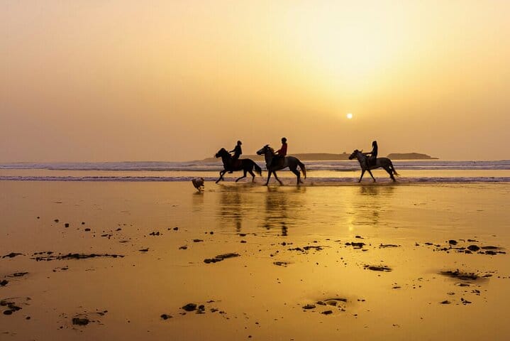 Marrakech to Essaouira shared Day Trip