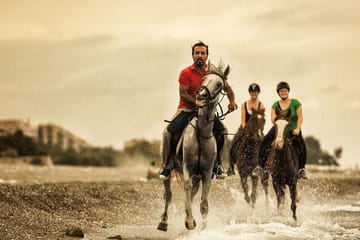 Horseback Riding From Kusadasi Port For Cruise Guests