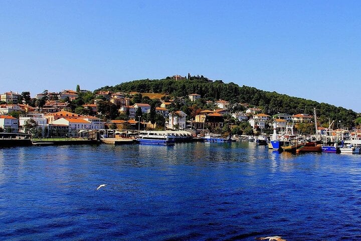 Istanbul All-Inclusive Princes’ Islands Tour+Lunch & Hotel Pickup 6