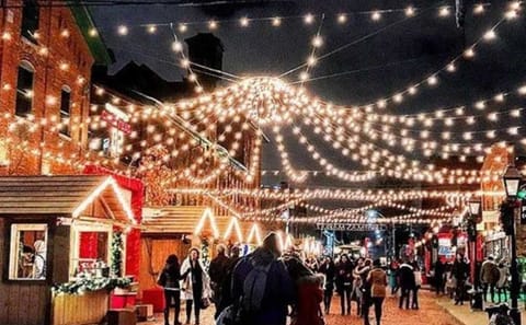 Private Christmas Walking Tour in Reykjavík, Iceland