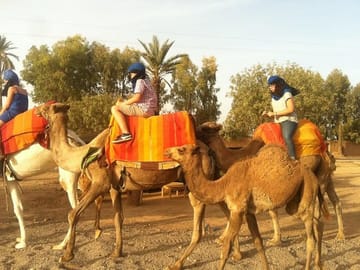 Camel Ride Tour in Marrakech with Berber Lifestyle Insights