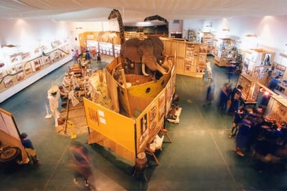 Nairobi Airport Layover Tour to Nairobi National Museum