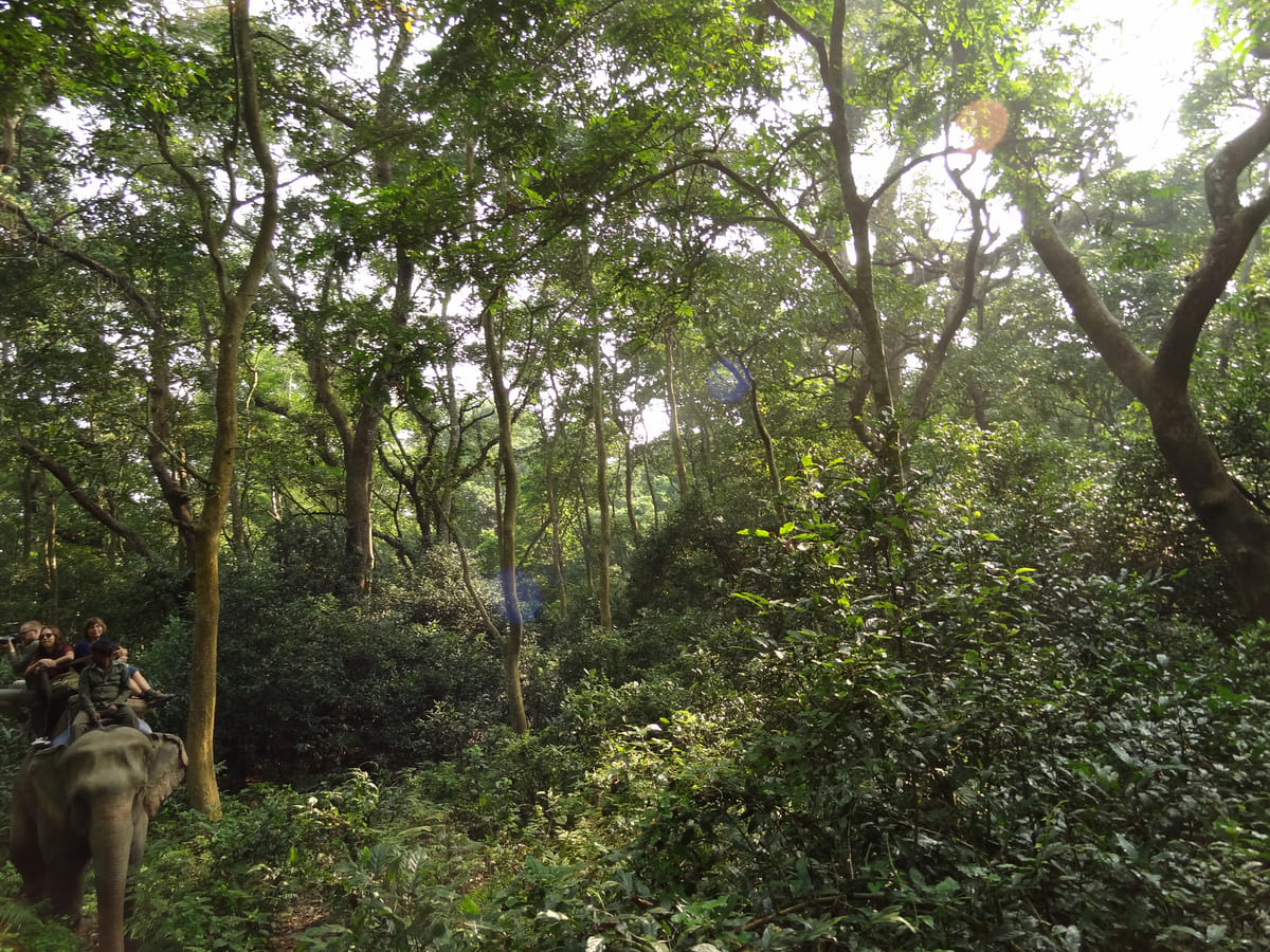 19 Days Mera Peak Climbing & Expedition – One Life-Changing Himalayan Adventure