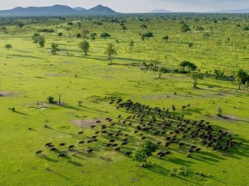 2Nights Ultimate Selous (Nyerere National Park) from Zanzibar